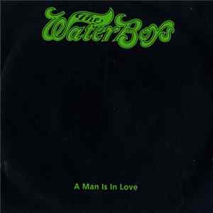 The Waterboys - A Man Is In Love FLAC