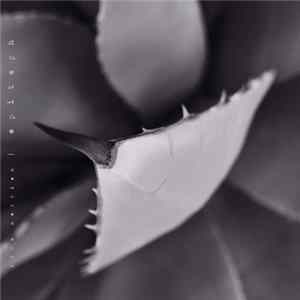 Dirk Serries - Epitaph FLAC