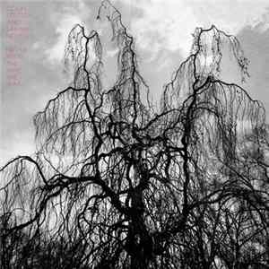 Colin Stetson & Sarah Neufeld - Never Were The Way She Was FLAC
