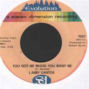 Larry Santos - You Got Me Where You Want Me FLAC
