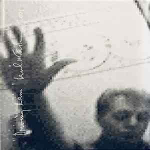 Paul McCartney - Driving Rain FLAC