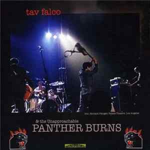 Tav Falco & The Unapproachable Panther Burns - Administrator Blues FLAC