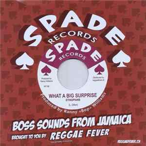 Ethiopians / Winston Shan - What A Big Surprise / Treasure Of Love FLAC