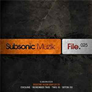 Various - Subsonic Muzik Sampler 03 FLAC