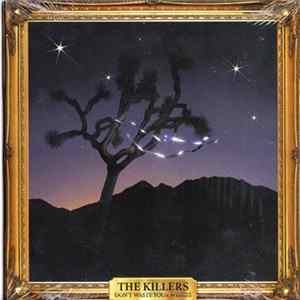 The Killers - Don't Waste Your Wishes FLAC
