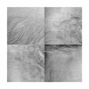 Steve Roden - (For) FLAC