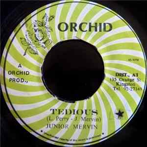 Junior Mervin - Tedious FLAC