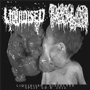 Liquidised / Dissolved - Split CD-R 2014 FLAC