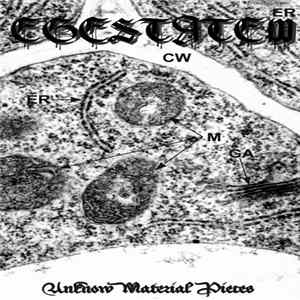 Egestatem - "Unknow Material Pieces" FLAC