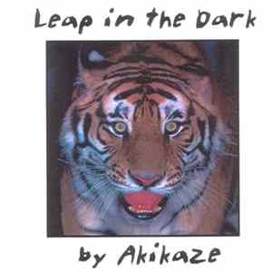 Akikaze - Leap In The Dark FLAC