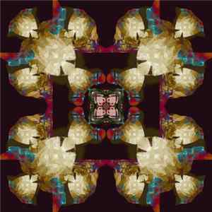 The Vitamin B12 - Two 10" Gatefold Set FLAC