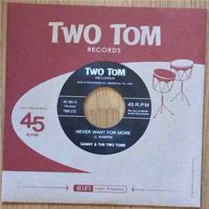 Danny & The Two Toms - Never Want For More FLAC