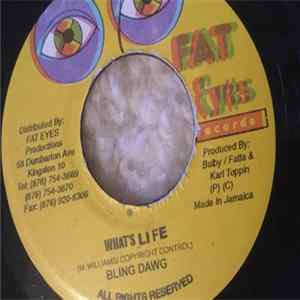 Bling Dawg - What's Life FLAC