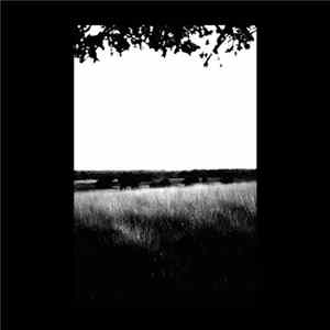 Arjen Schat - CrO2 FLAC