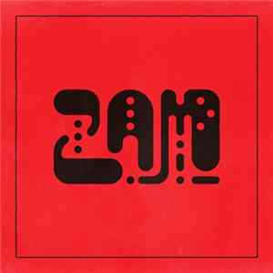 Frankie And The Witch Fingers - ZAM FLAC