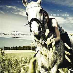 The Winnebago Orchestra - Born In The Sun FLAC