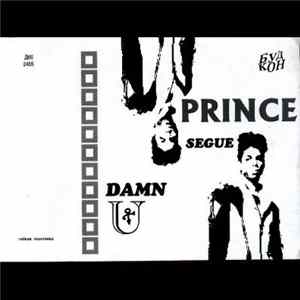 Prince And The New Power Generation - Damn U FLAC