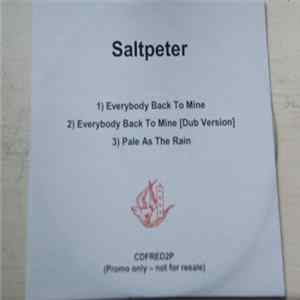 Saltpeter - Everybody Back To Mine FLAC