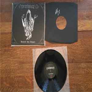 Suicide Forest - Descend Into Despair FLAC