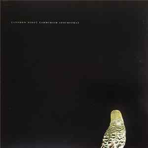 Andrew Bird - Armchair Apocrypha FLAC