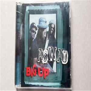 Aswad - Big Up FLAC