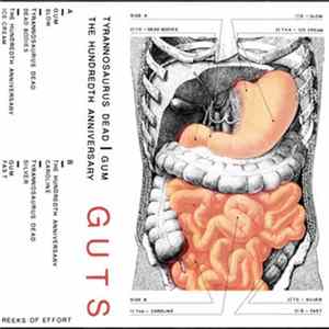 Various - GUTS FLAC