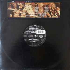 Fake Divine - Egyptian Reggae FLAC