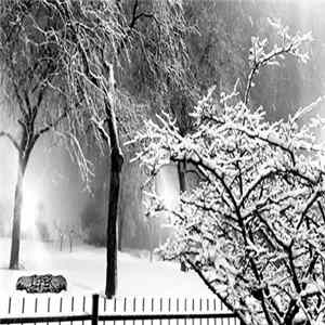 Leper - 12 Songs Of Christmas FLAC