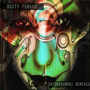 Various - Intonarumori Remixes FLAC