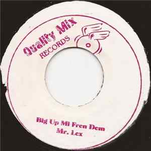 Mr. Lex - Big Up Mi Fren Dem FLAC