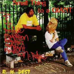 R.M. Dest - Small Thing To A Giant FLAC