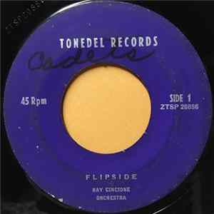 Ray Cincione Orchestra - Flipside FLAC