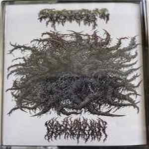 Spectral Voice / Blood Incantation - Spectral Voice / Blood Incantation FLAC