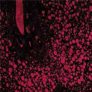 Textgate - Red Book FLAC