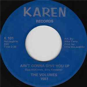 The Volumes - Ain't Gonna Give You Up FLAC