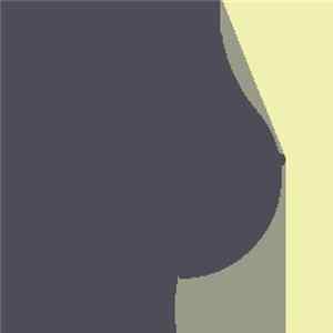 Saskrotch - I'll Have You Naked By The End Of This ROM FLAC