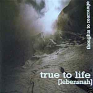 True To Life [Lebensnah] - Thoughts To Rearrange FLAC