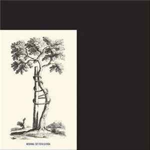 Mishima - Set Tota La Vida FLAC