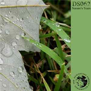 Downscope - Nature's Tears FLAC