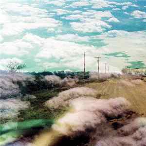 The World Is A Beautiful Place & I Am No Longer Afraid To Die - Always Foreign FLAC