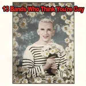 Various - 13 Bands Who Think You're Gay FLAC