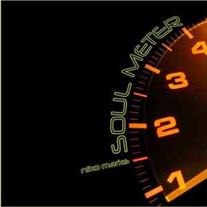 Niko Marks - Soul Meter FLAC