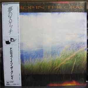 A Drop In The Gray - Certain Sculptures FLAC