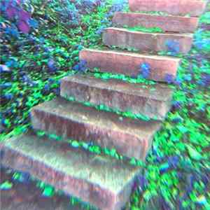 P A T H S パス - ビジョンログ: Stairway FLAC