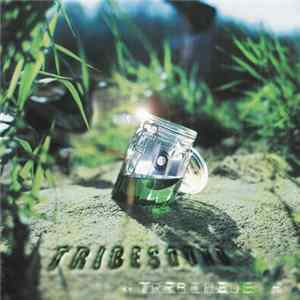Various - Tribesound FLAC