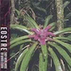 EOSTRE - They Were Made Of White Cloth FLAC