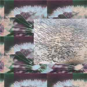 Pregnant Spore - Black Smoke Sleep FLAC