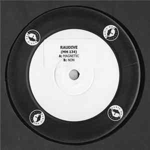 Raudive - Magnetic FLAC