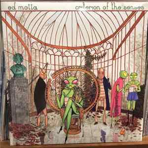 Ed Motta - Criterion Of The Senses FLAC