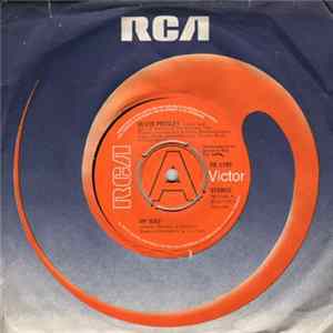Elvis Presley - My Way FLAC
